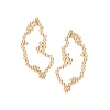Antarctica earrings