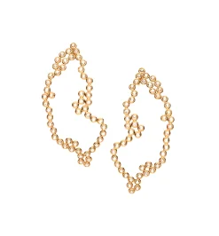 Antarctica earrings