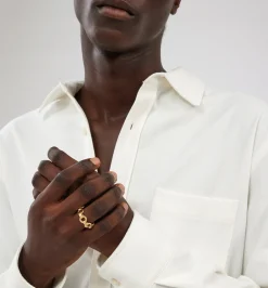 Araki ring