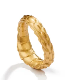 Cerberus ring
