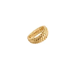 Leviathan ring