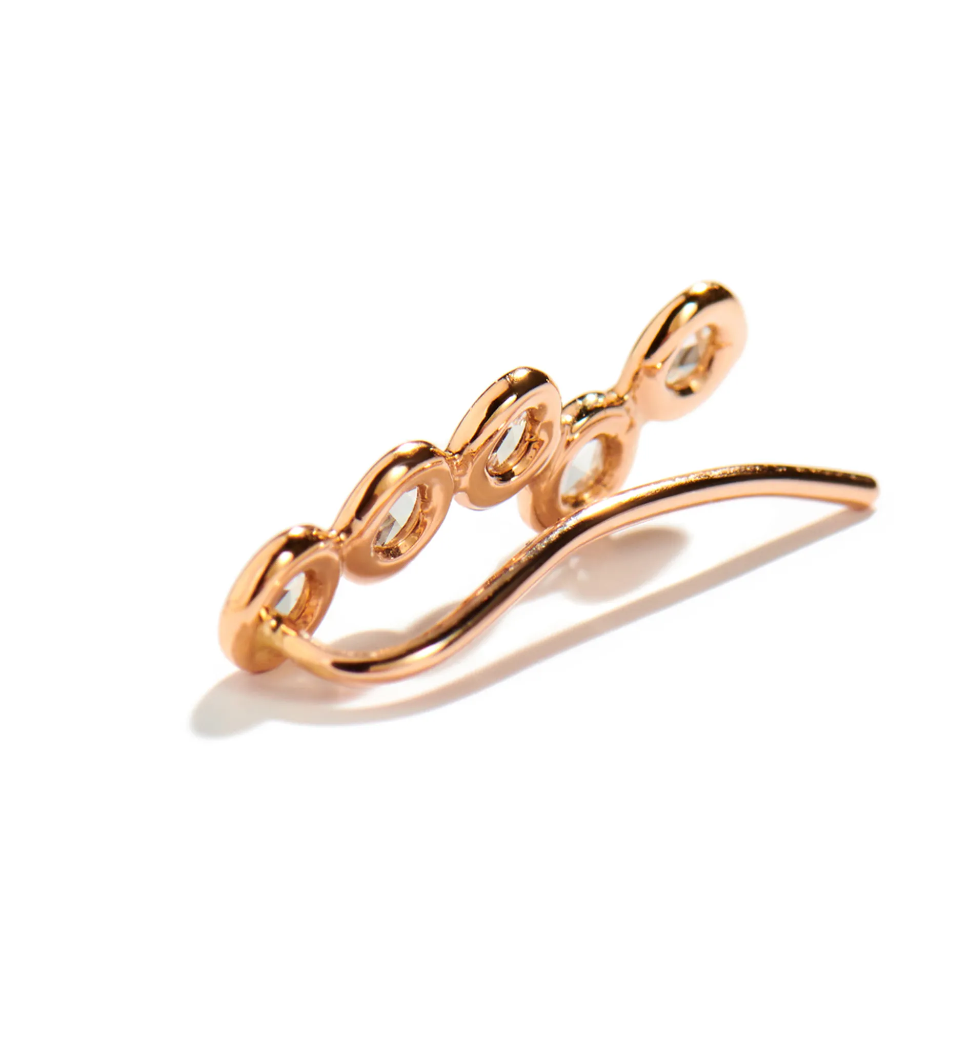 Mini cardio left earring