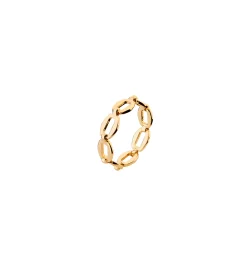 Oval chain ring