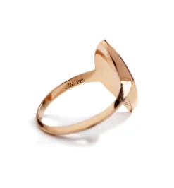 Petit Ambre chevalier ring