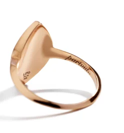 Petit Ambre chevalier ring