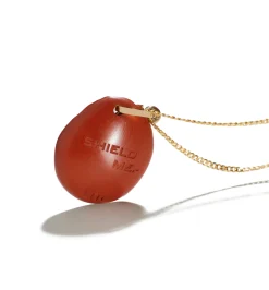 Shield me necklace